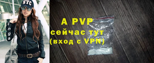 твердый Абаза