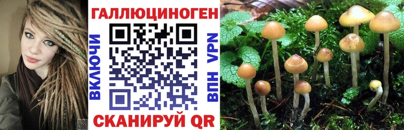 Галлюциногенные грибы Psilocybe где можно купить наркотик Кумертау